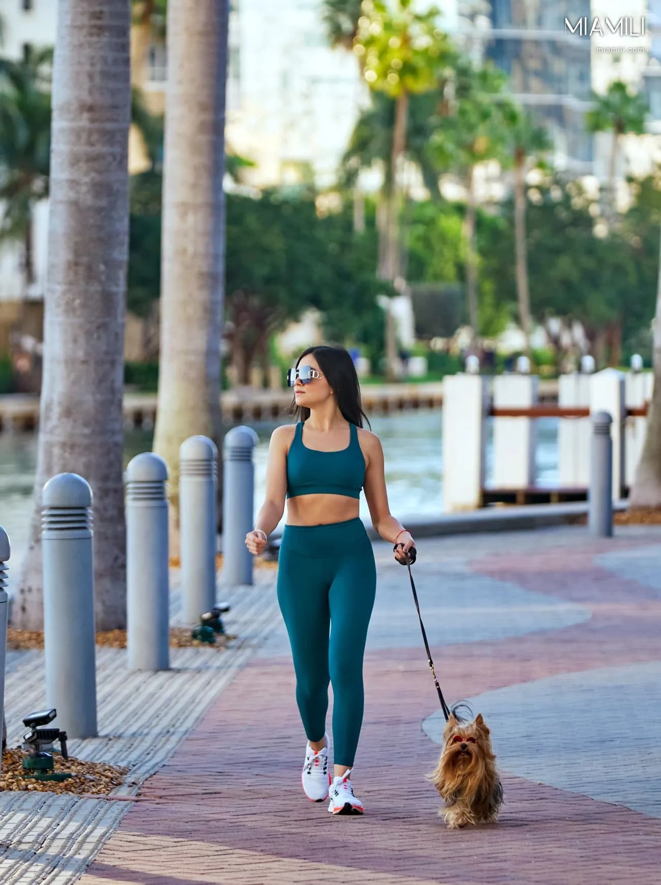 Viceroy Residences Brickell — görsel 4