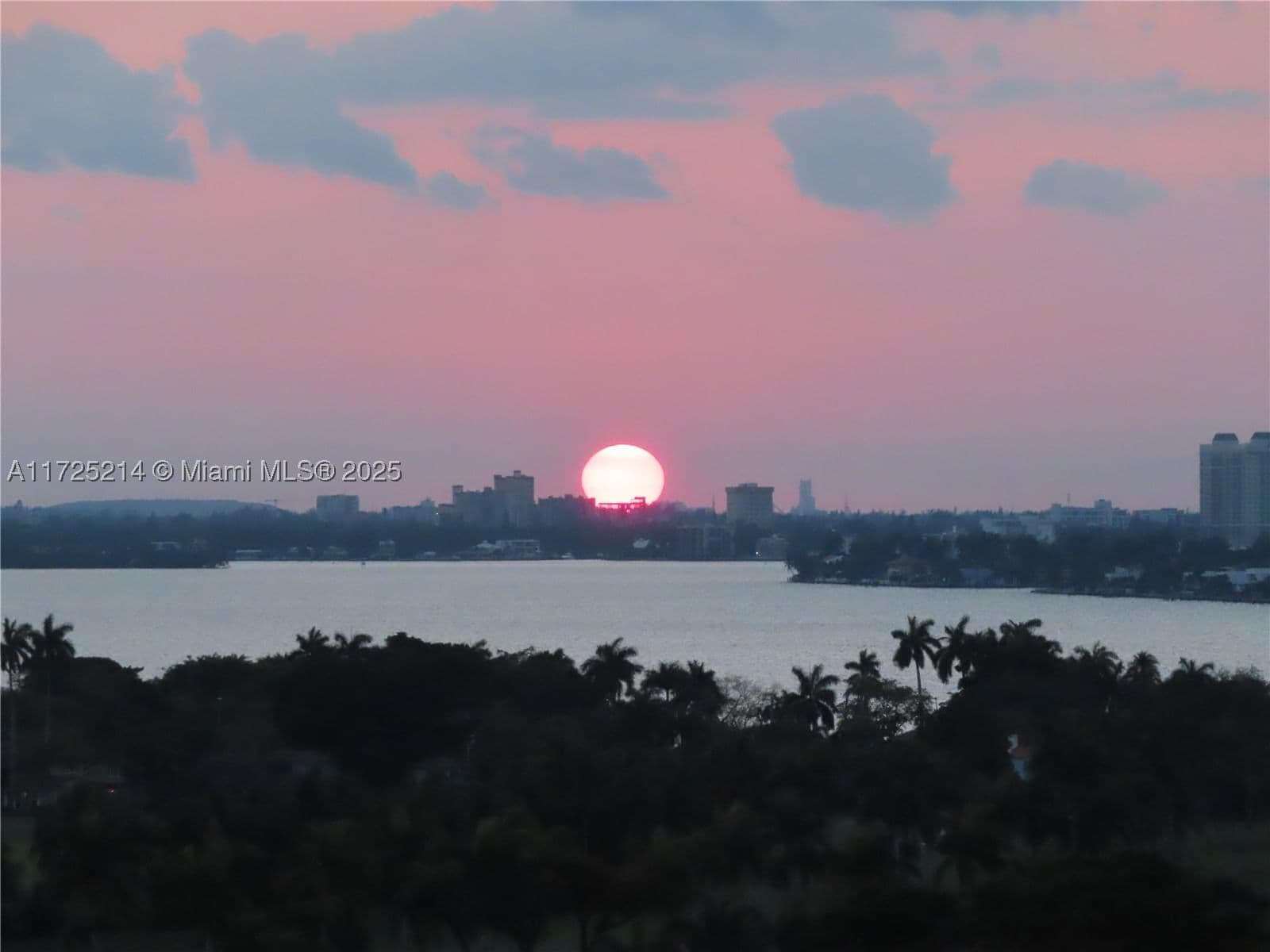 1+1 Condo — 5701 Collins Ave #1011, Miami Beach, FL 33140