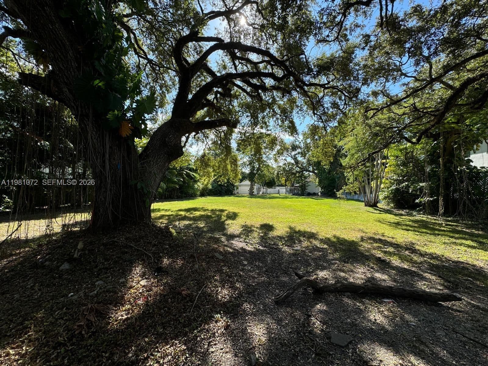 Property — 3528 Royal Palm Ave, Miami, FL 33133