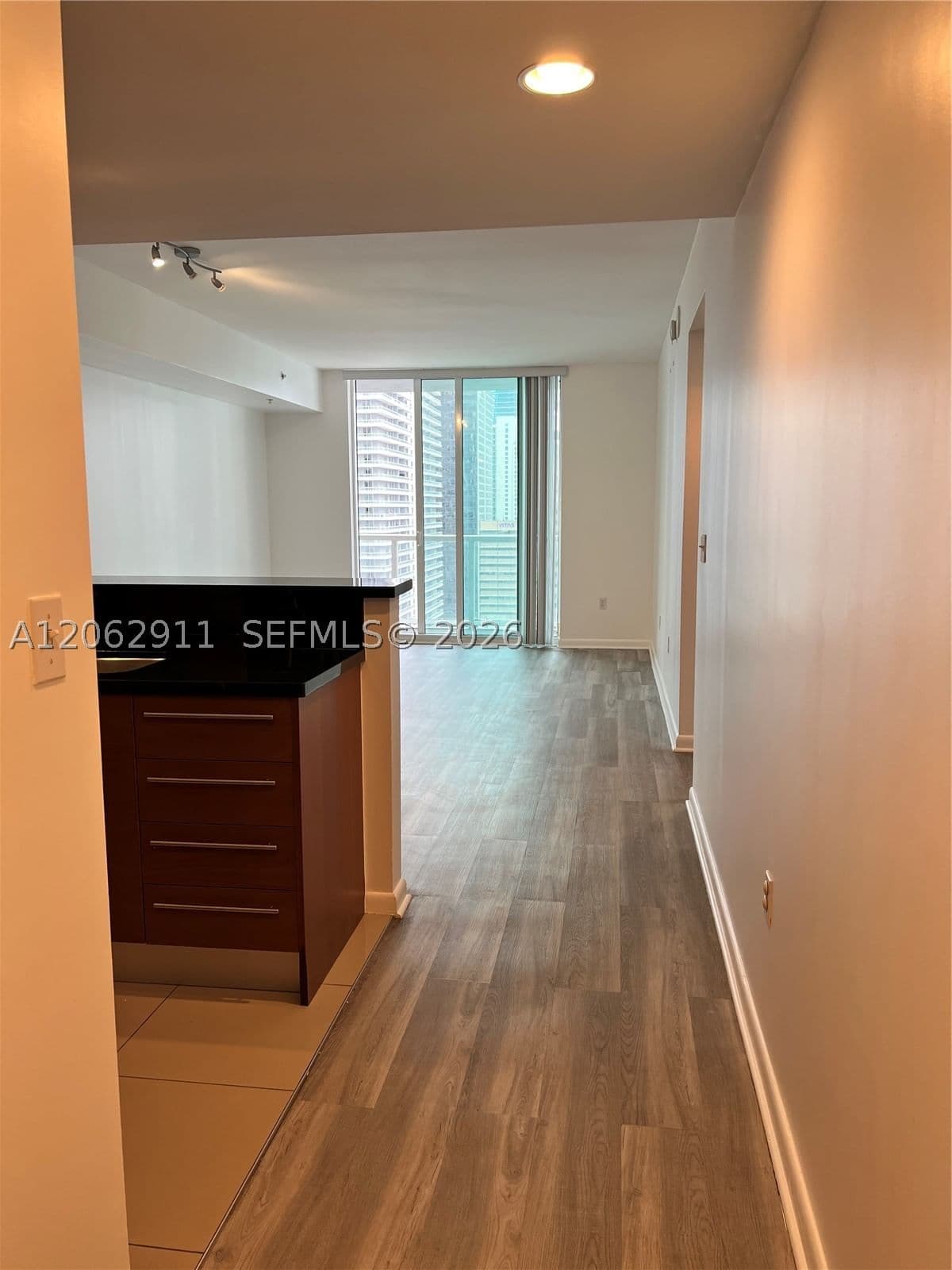2+1 Condo — 244 Biscayne Blvd #2609, Miami, FL 33132