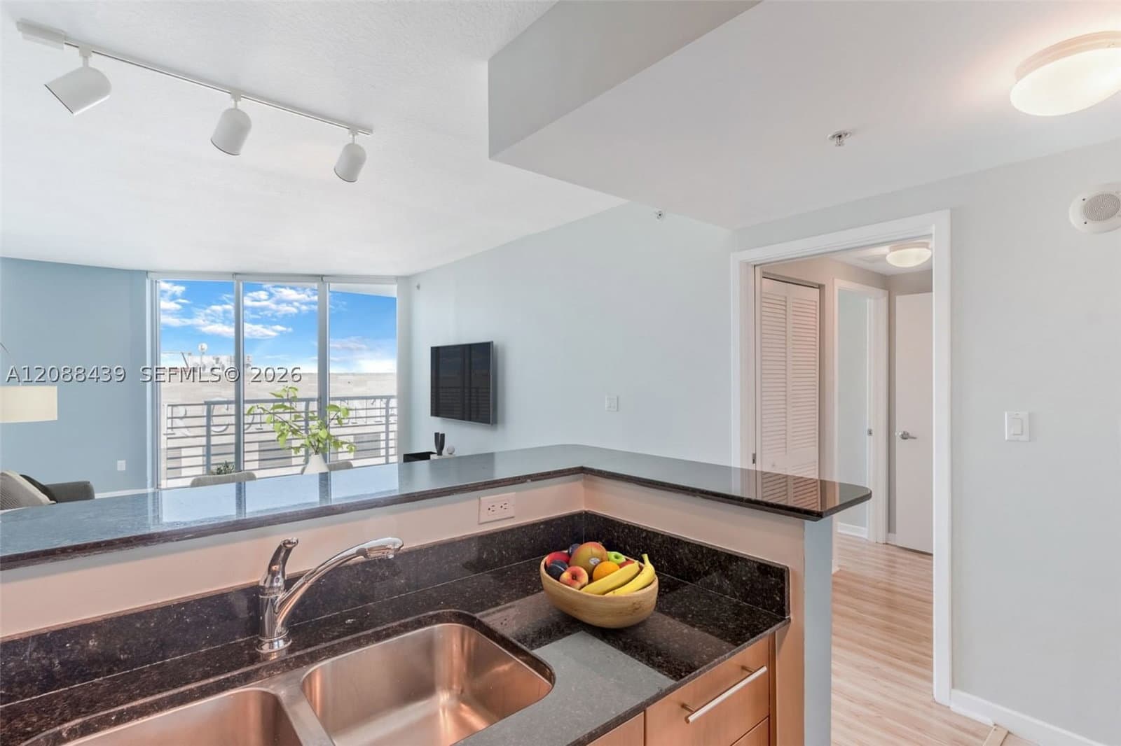1+1 Condo — 335 Biscayne Blvd #3904, Miami, FL 33131