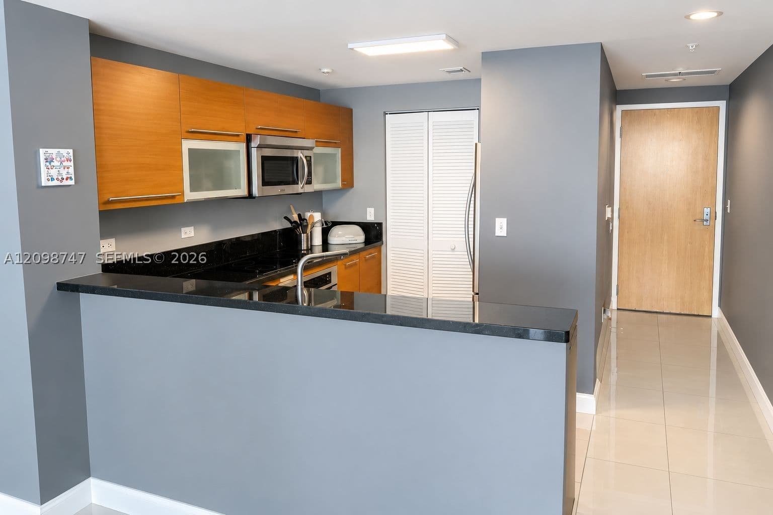 1+1 Condo — 244 Biscayne Blvd #3204, Miami, FL 33132