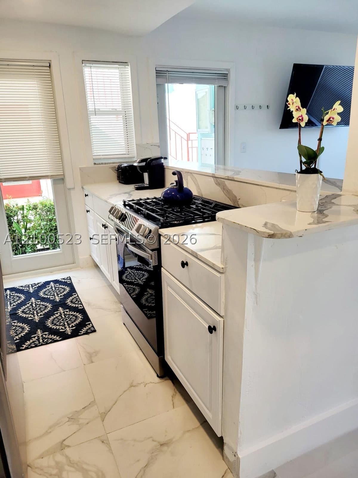 1+1 Condo — 1234 Euclid Ave #1, Miami Beach, FL 33139
