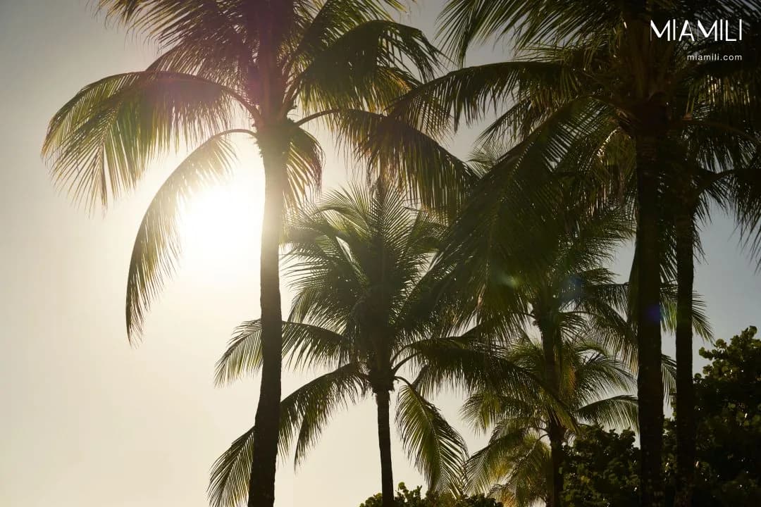 Rivage Bal Harbour — image 4