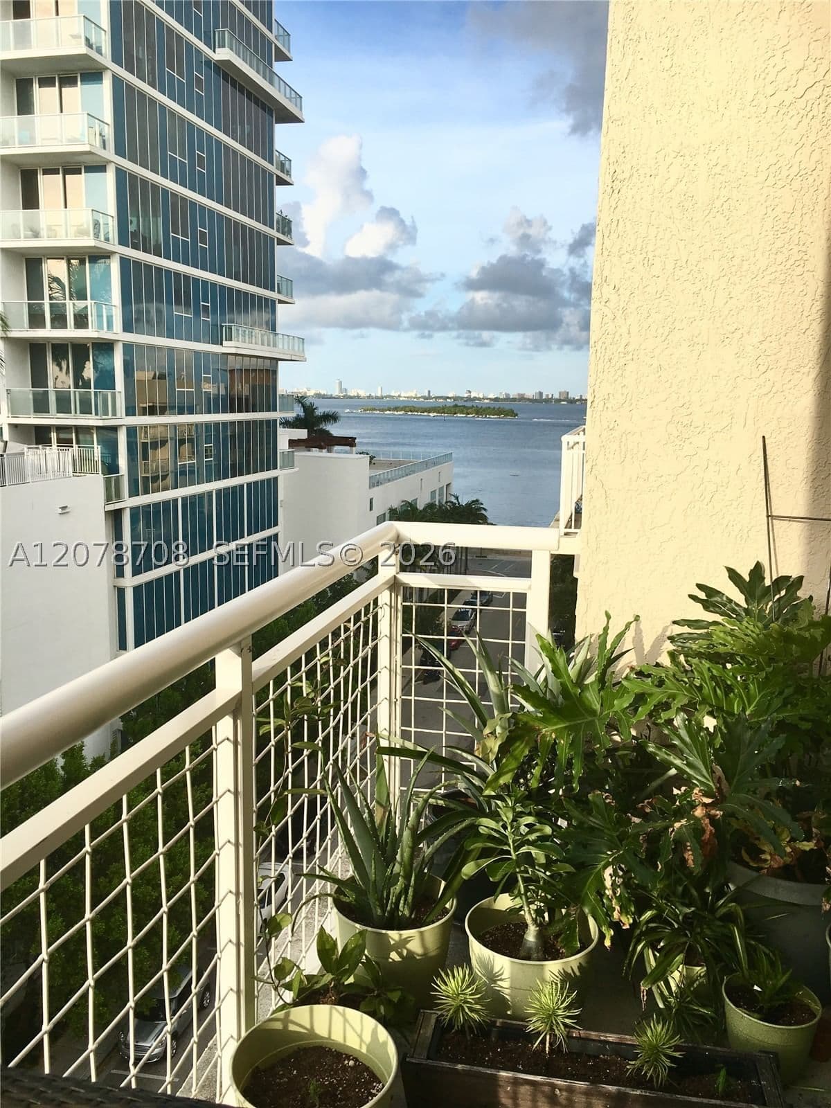 1+1 Condo — 2001 Biscayne Blvd #2604, Miami, FL 33137